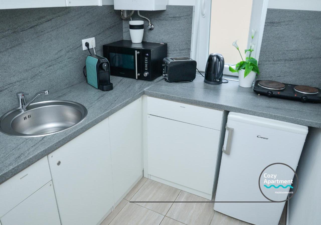 Cozy Apartment Hajdúszoboszló Екстериор снимка